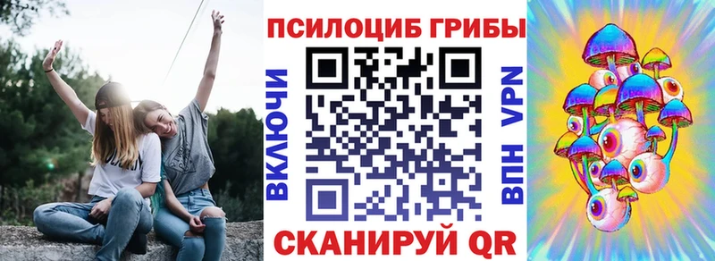Псилоцибиновые грибы Psilocybine cubensis  Городец 