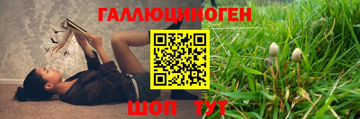 Галлюциногенные грибы Psilocybine cubensis Городец