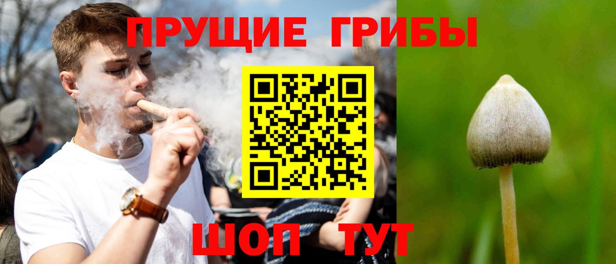 Галлюциногенные грибы Psilocybe  Псилоцибиновые грибы мицелий  Городец  Вход с VPN 